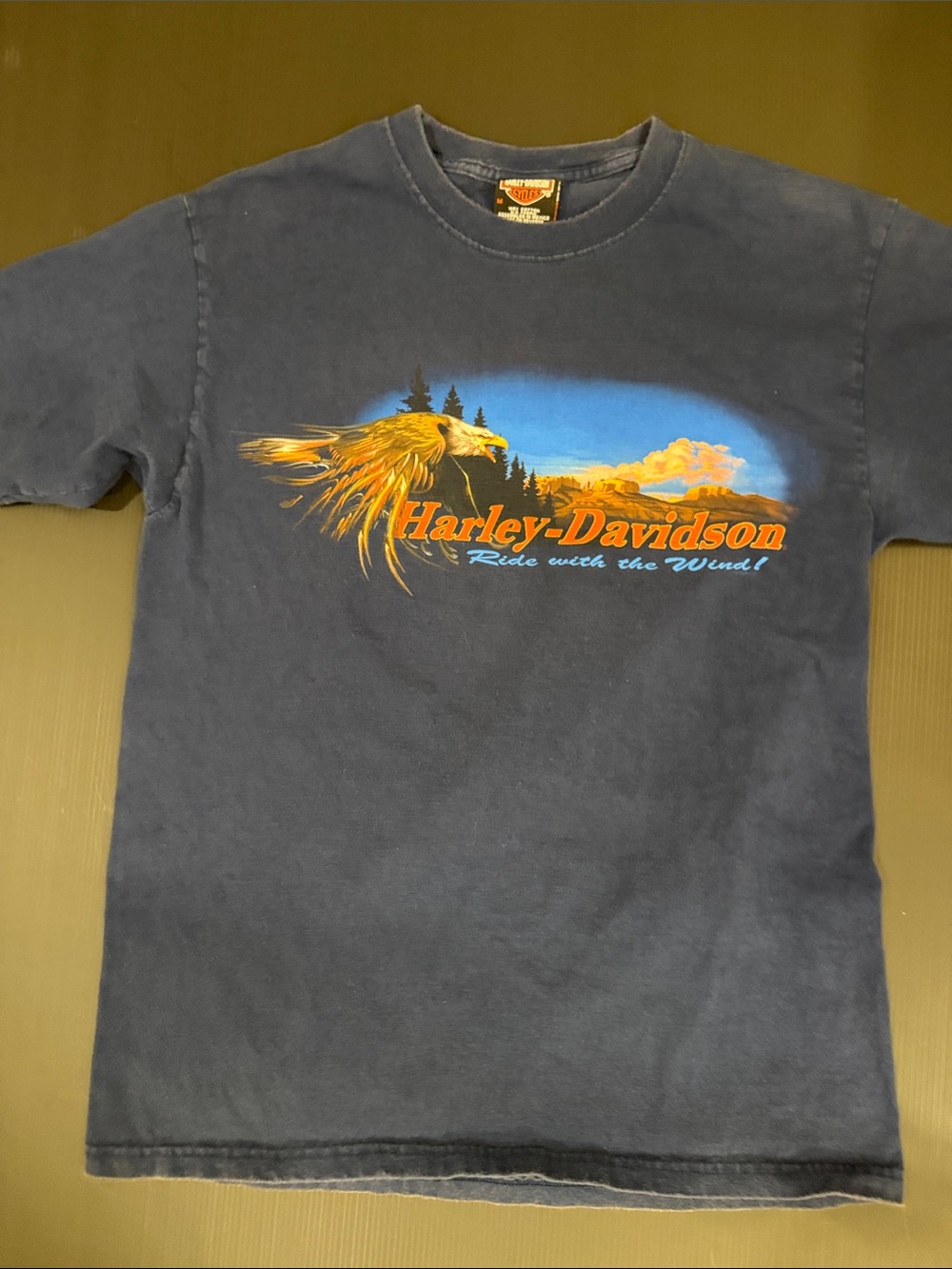 Harley-Davidson Navy Blue Eagle Landscape Graphic Tee
